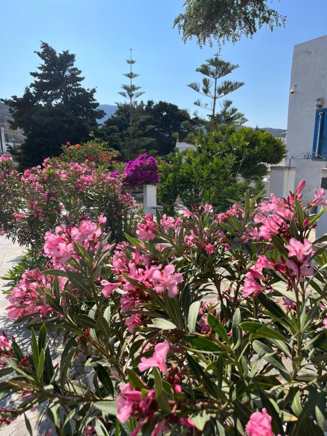 Sea Views - Marble Palace - 2 Floors Tinos Ngoại thất bức ảnh